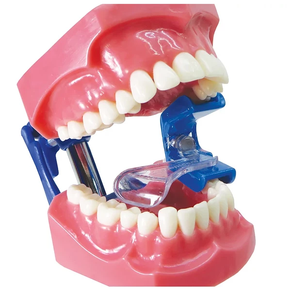 Bite Buddy Tongue Tamer Pequeño, 1 Par: 1 Derecho, 1 Izquierdo. Protector de Lengua.